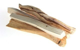Palo Santo – Beneficiile utilizarii Lemnului Sfant