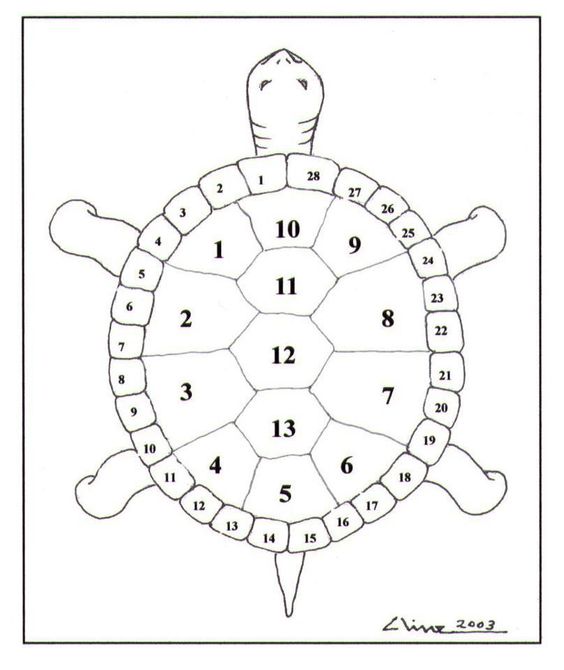 testoasa calendar