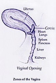 harta emotionala a vaginului