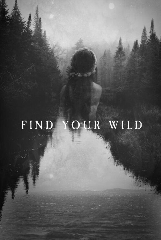 find your wild