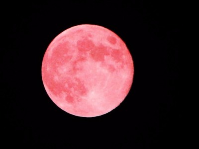 Pink-Moon-500x375-2